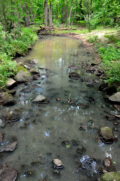 streams throughout the Greenway
